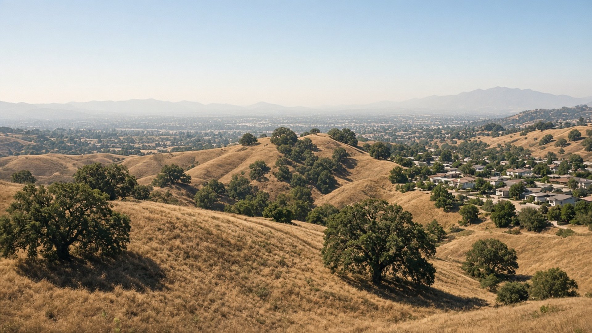 California Wildfire Season 2026 Summer Update: Conditions, Forecasts, and How to Prepare