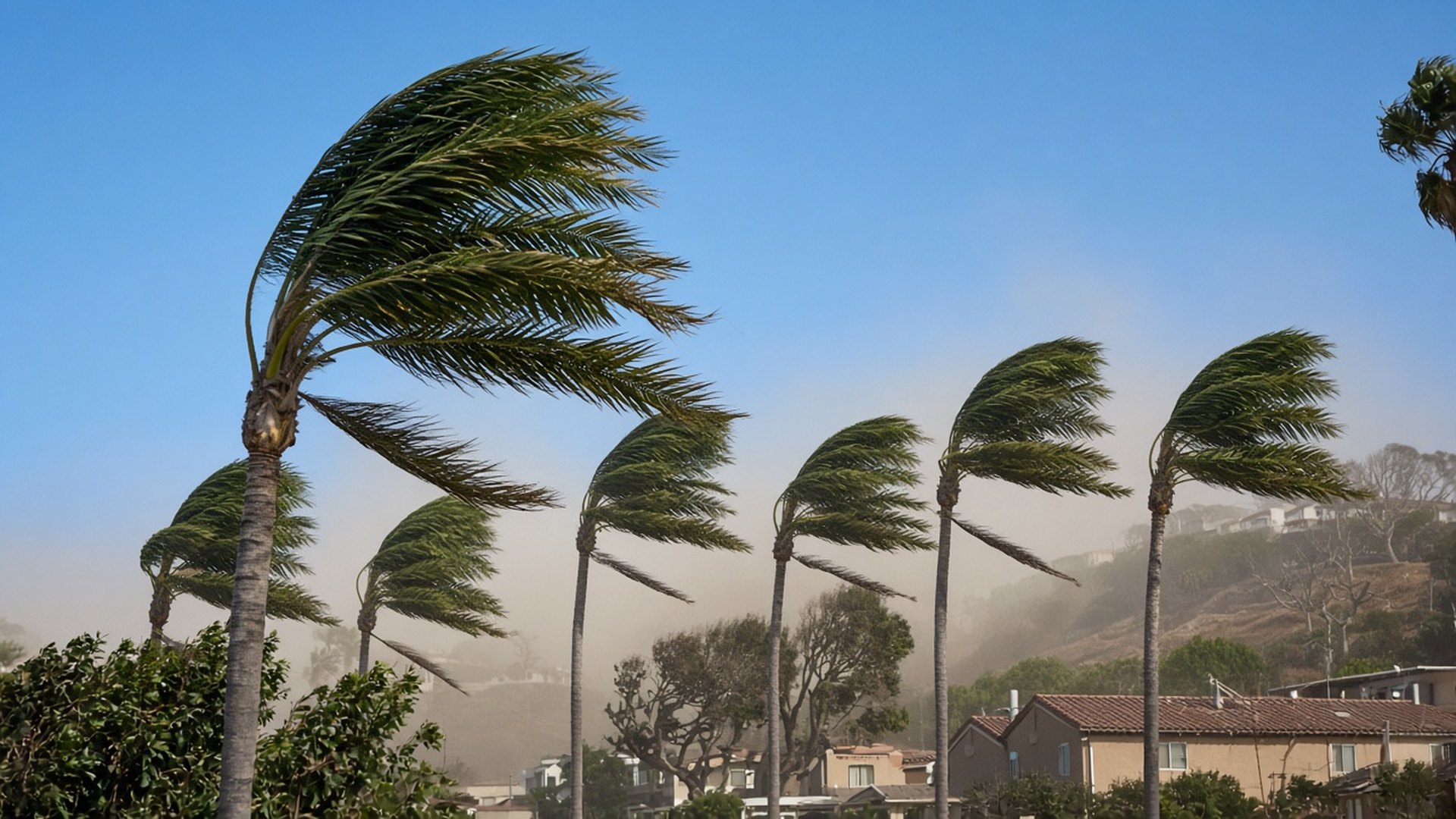 Santa Ana Winds and Wildfire Risk: A Southern California Homeowner’s Guide